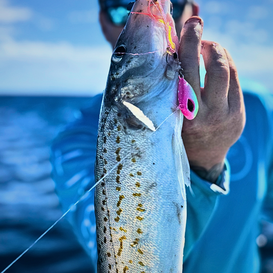 Flash Worm hybrid jig weight range shown together