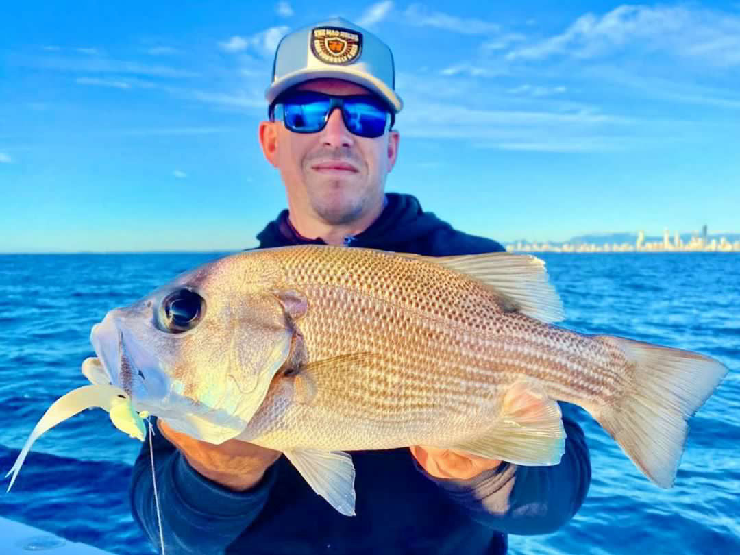 Prawno Jig Heads