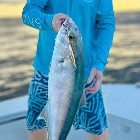 Snapbait Knife jig holding yellowtail kingfish
