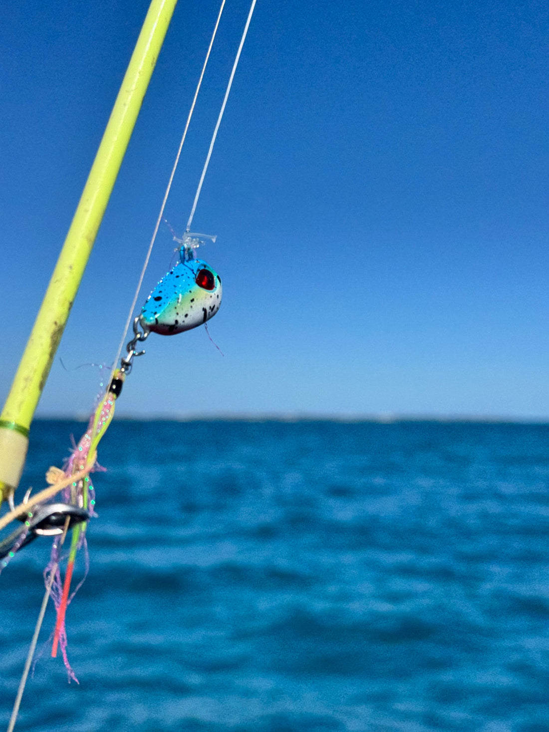 The SnapBait Worm Jigs: How the Blood Worm and Flash Worm Dominate Inshore Fishing