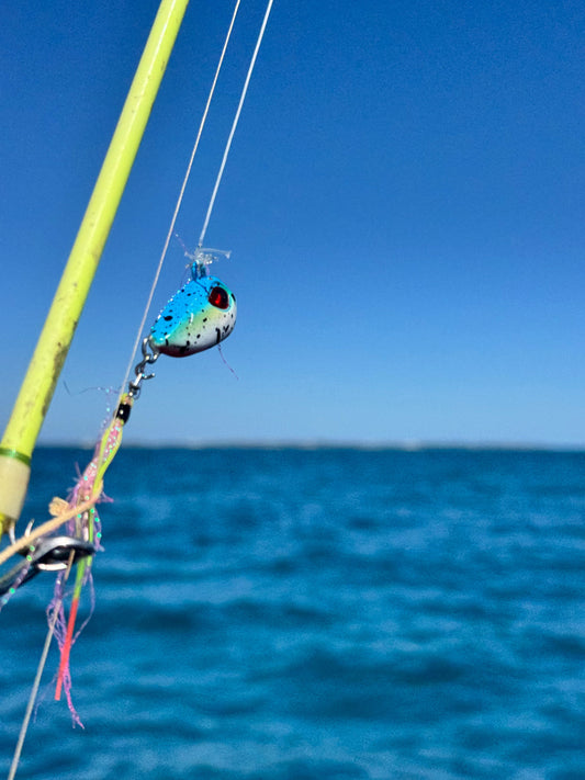 The SnapBait Worm Jigs: How the Blood Worm and Flash Worm Dominate Inshore Fishing