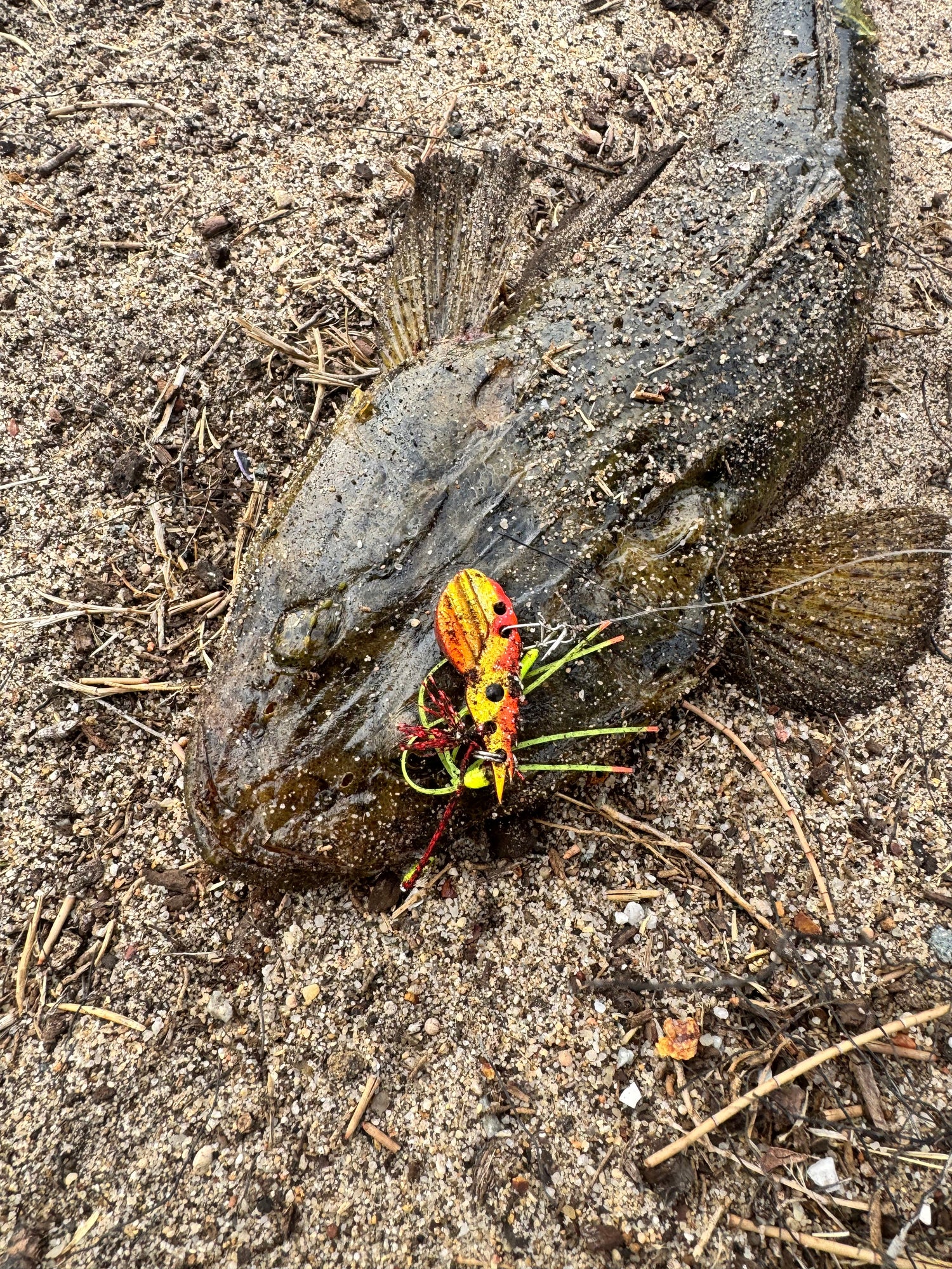Estuary/ Creek Bundles