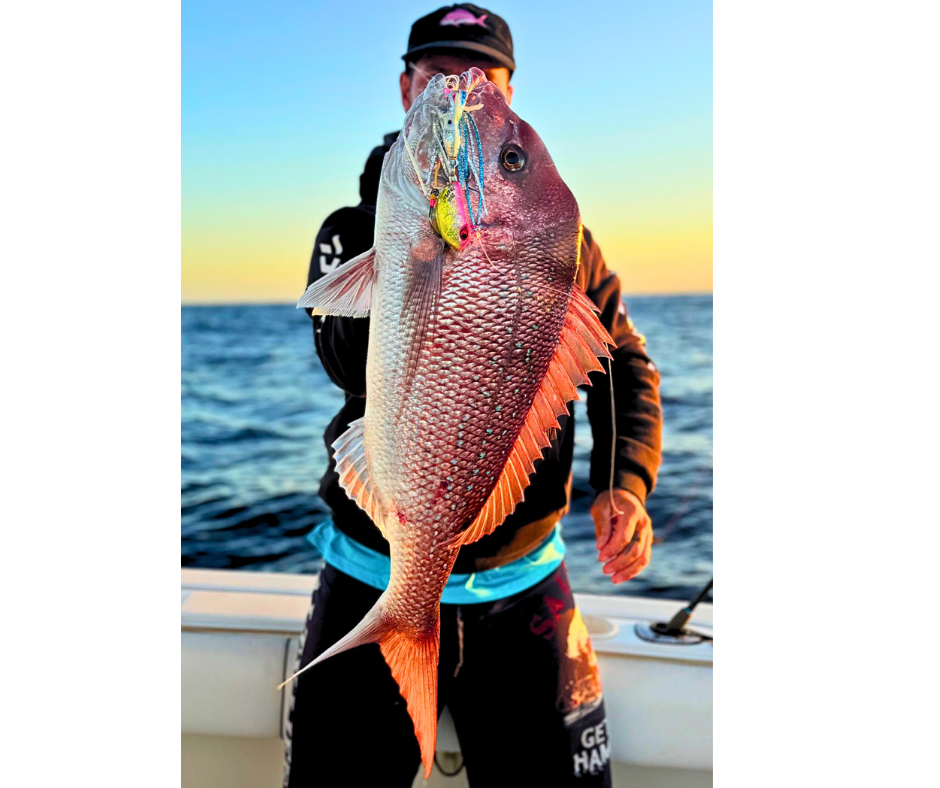 Jigs for snapper fishing