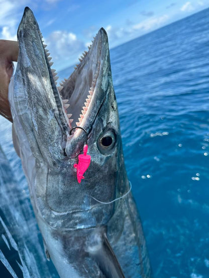Prawno Jig Heads