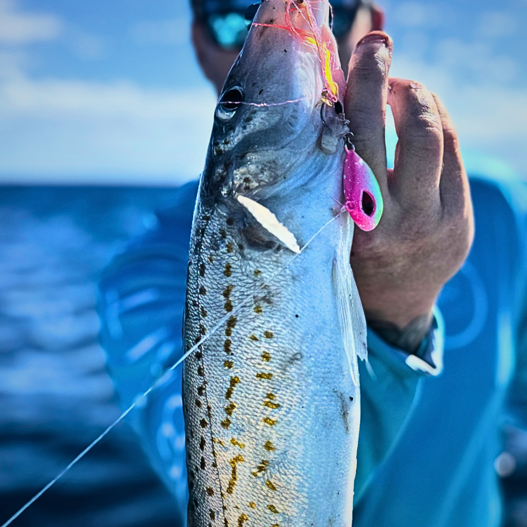Flash Worm Hybrid Jig – KG Whiting, Flathead & Bream
