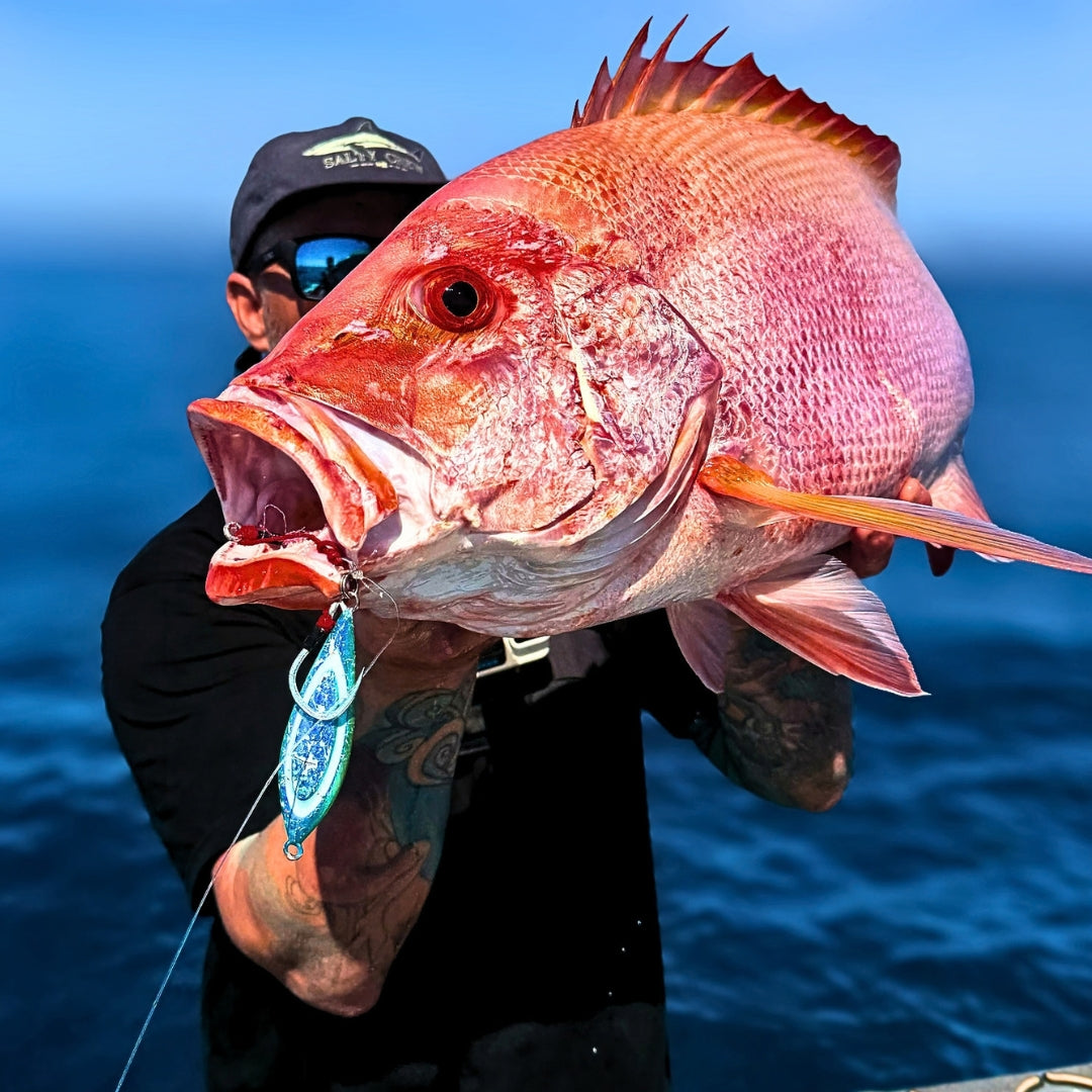 Reef fish caught offshore on a Fat Boy Flutter slow pitch jig in Blue Shimmer