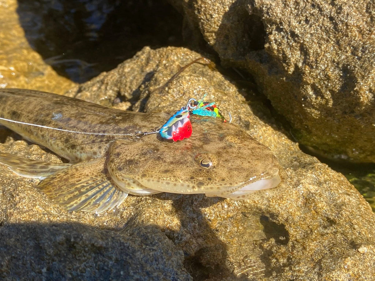 Creek Rat Estuary Pack – Bream, Jacks & Flathead – SnapBait, image 2