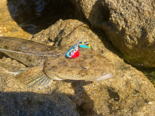 Creek Rat Estuary Pack – Bream, Jacks & Flathead – SnapBait, image 2