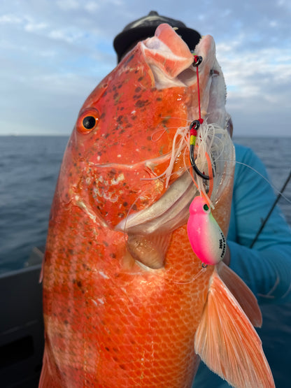 Close-up of a 205g Frothy Okky jig hooked in a red reef fish