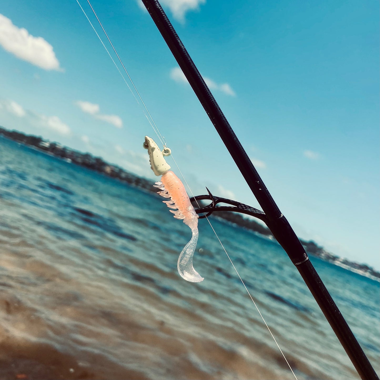 Prawno Jig Heads