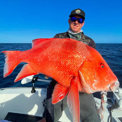 3-Way Reef Lure Pack – Coral Trout & Red Emperor – SnapBait, image 2