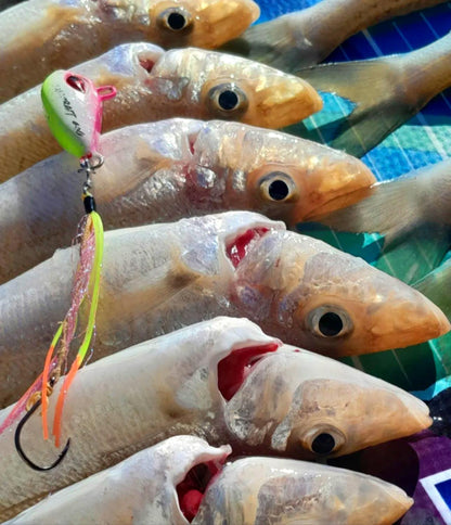 Flash Worm Hybrid Jig – KG Whiting, Flathead & Bream