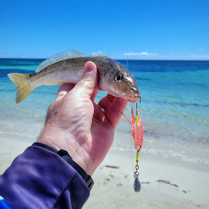 Blood Worm Hybrid Jig – KG Whiting & Flathead Lure